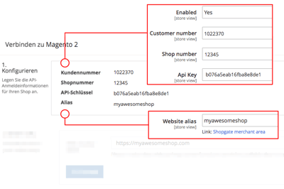 connecting_to_magento_2___where_to_enter